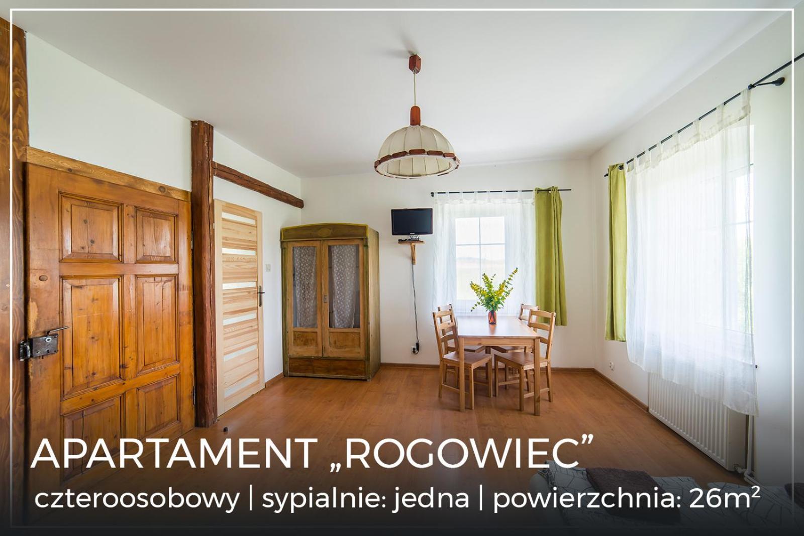 Agroturystyka "Pograniczna" Gluszyca Gorna Экстерьер фото